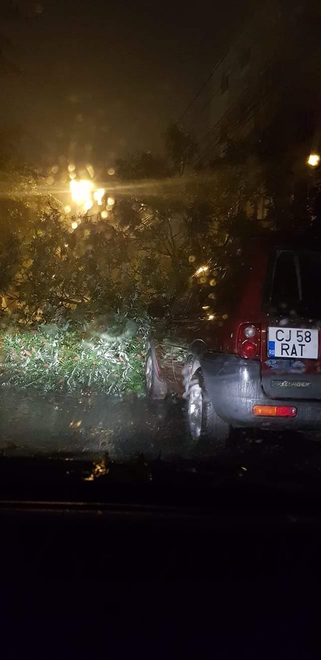 Inundații în Cluj-Napoca, după o furtună de 30 de minute. Mașini sub apă, copaci căzuți, cabluri de electricitate rupte 717403