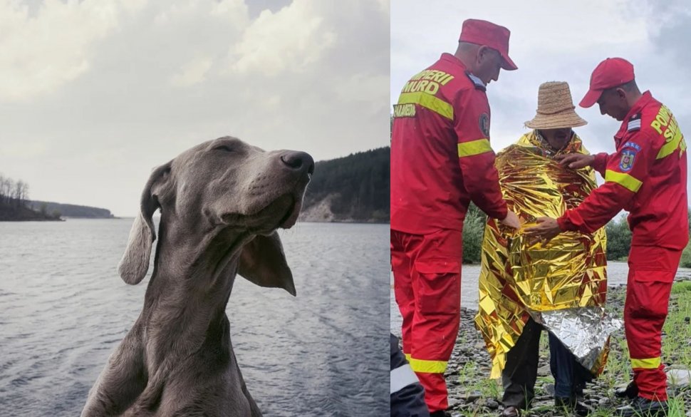 Bărbat din Bistriţa-Năsăud salvat de câinele său după ce a rămas agățat în vegetația de pe marginea unui râu