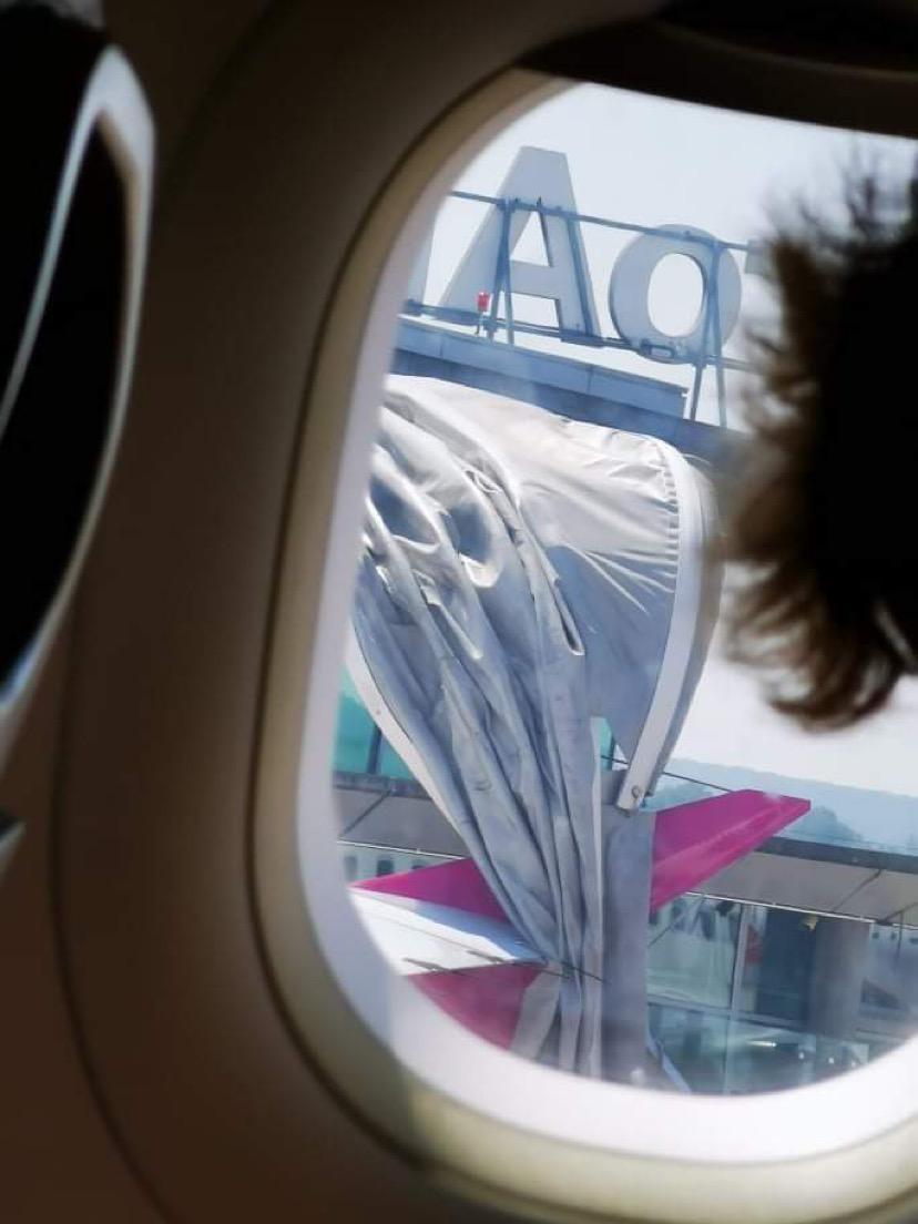 Un avion care trebuia să ajungă la Cluj-Napoca, incident grav pe pista aeroportului din Basel 717769