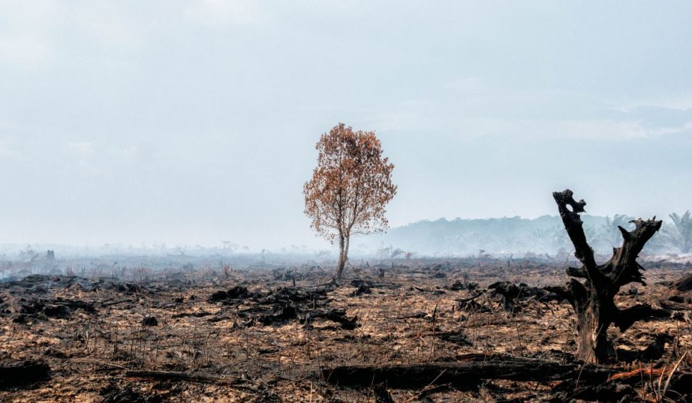 Apocalipsa climatică, menționată într-un document ONU: "Viaţa pe Pământ se poate recupera. Oamenii nu o pot face"