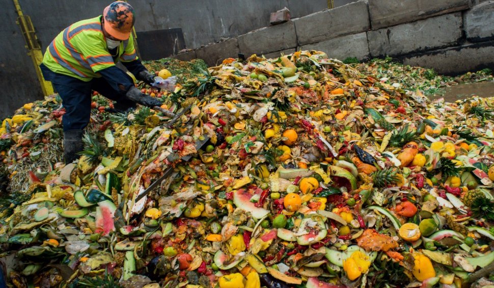 Aproape jumătate din producția mondială de mâncare ajunge la gunoi: Peste 2 miliarde de tone de mâncare neconsumată