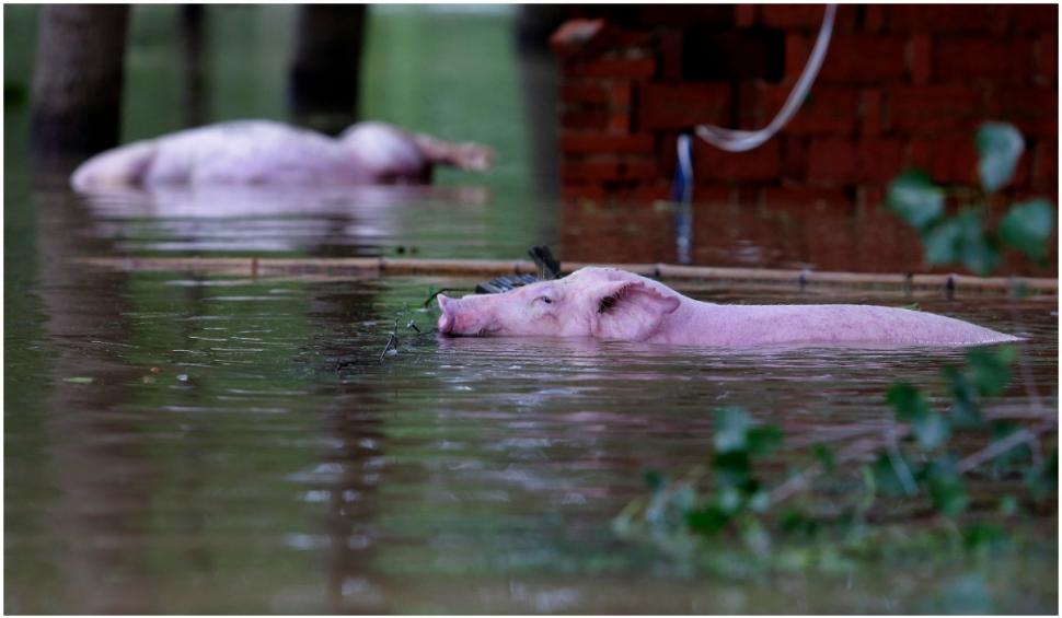 Nou bilanț al inundațiilor din China: 33 de morţi şi 8 dipăruţi 718129