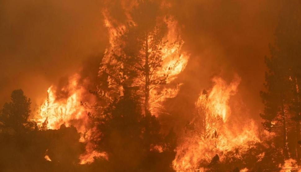 Incendiie de vegetație au ajuns la scară planetară. Fumul se întinde din SUA până în Siberia 718141