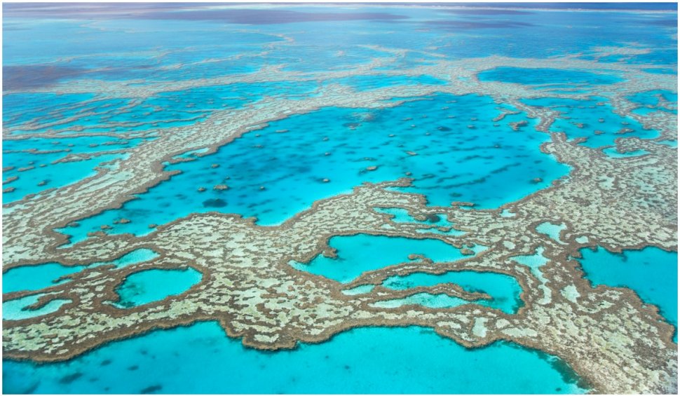 Australia a evitat înscrierea Marii Bariere de Corali, pe lista patrimoniului UNESCO în pericol