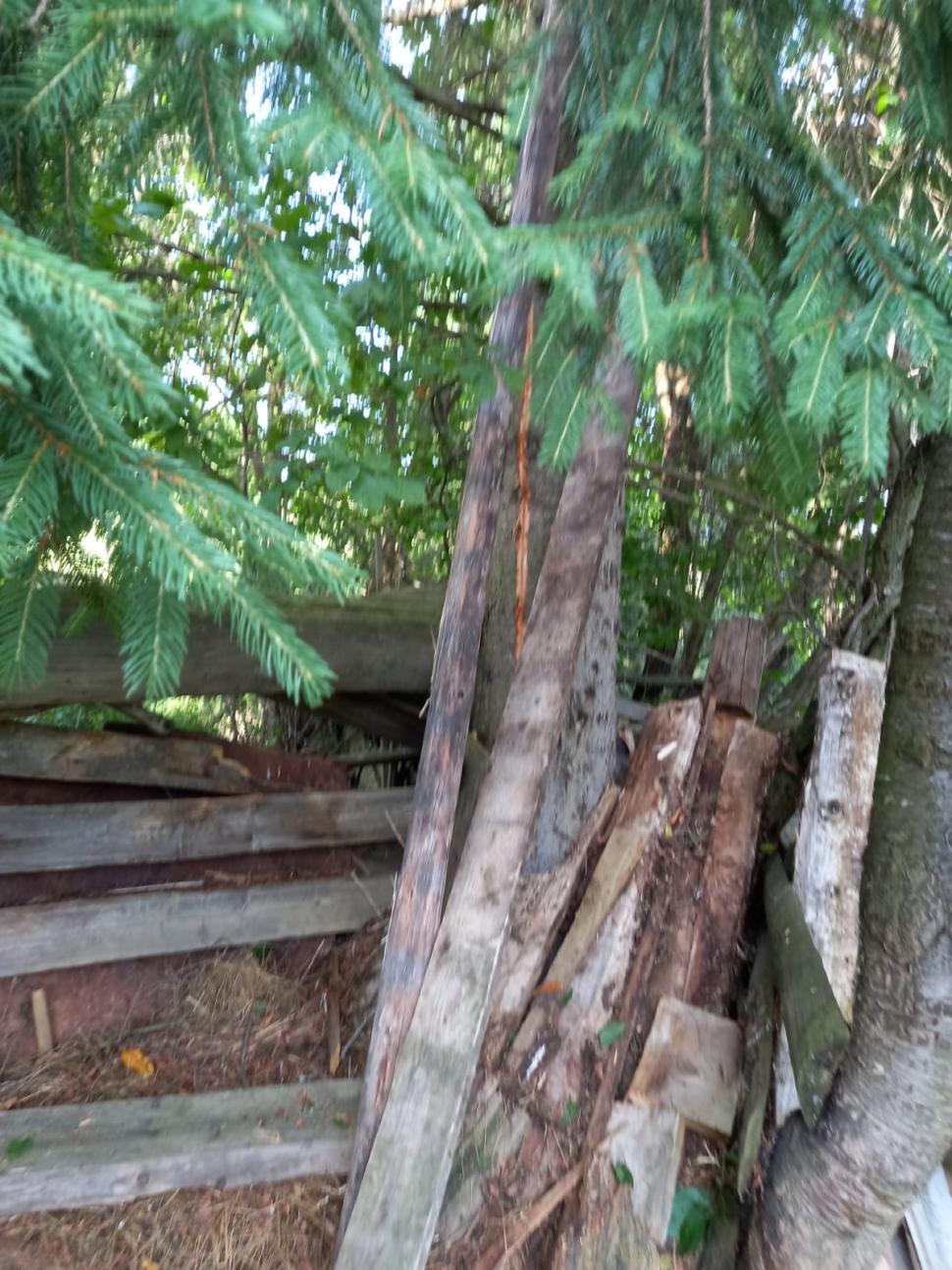 Un bărbat şi un copil, loviţi de trăsnet într-o pădure din Suceava. Tot judeţul este sub cod galben de furtună 718748