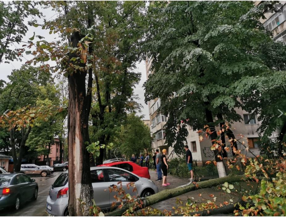 Eoliană luată de vânt în Botoșani, în urma unei vijelii. Imagini cu dezastrul provocat de furtuna puternică 719171