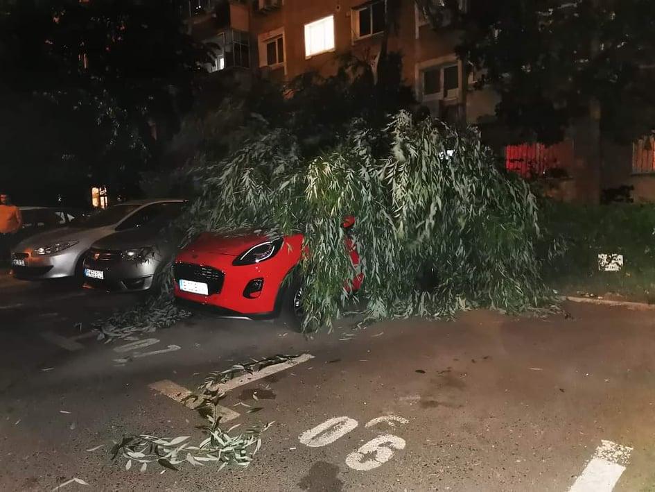 Furtună puternică în Bucureşti și împrejurimi! Rafale de peste 75 km/h și copaci căzuți. Rețeaua electrică, afectată 719180