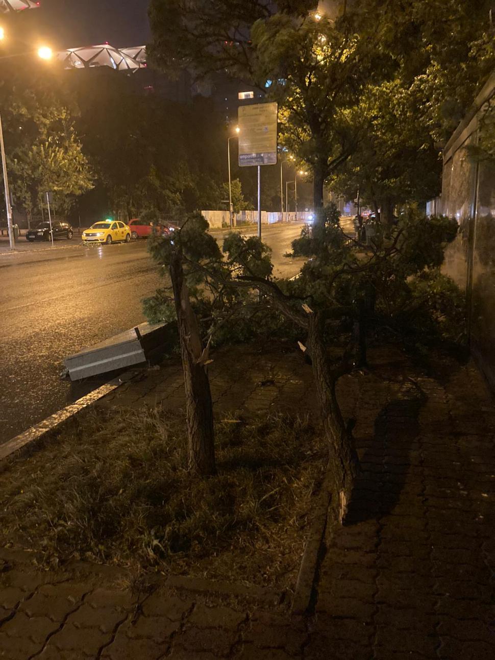 Furtună puternică în Bucureşti și împrejurimi! Rafale de peste 75 km/h și copaci căzuți. Rețeaua electrică, afectată 719187