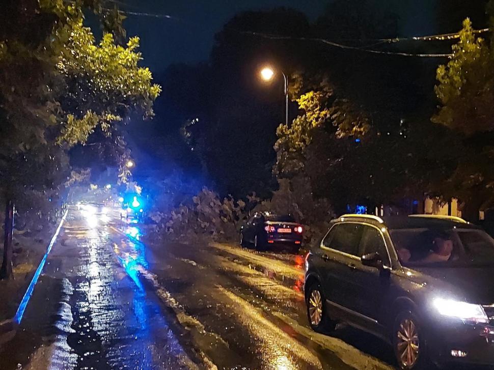 Furtună puternică în Bucureşti și împrejurimi! Rafale de peste 75 km/h și copaci căzuți. Rețeaua electrică, afectată 719190