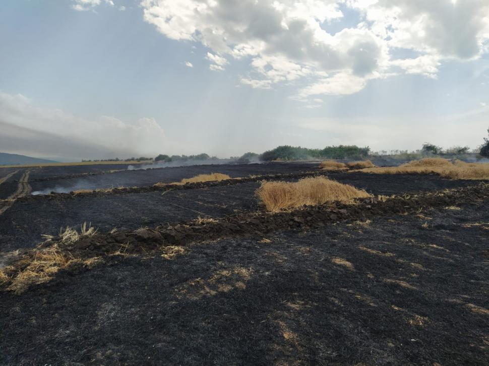 Incendiu devastator la Bunești. Peste 35 de hectare de grâu și miriște au fost mistuite de foc 719832