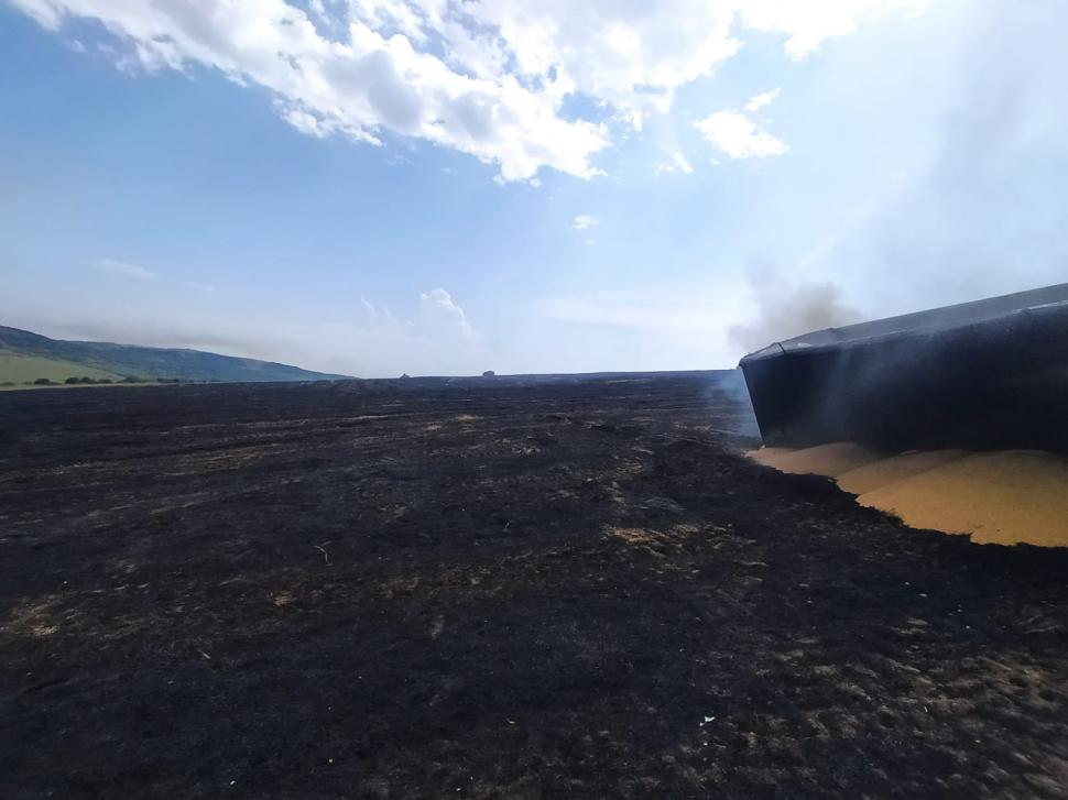 Incendiu devastator la Bunești. Peste 35 de hectare de grâu și miriște au fost mistuite de foc 719834
