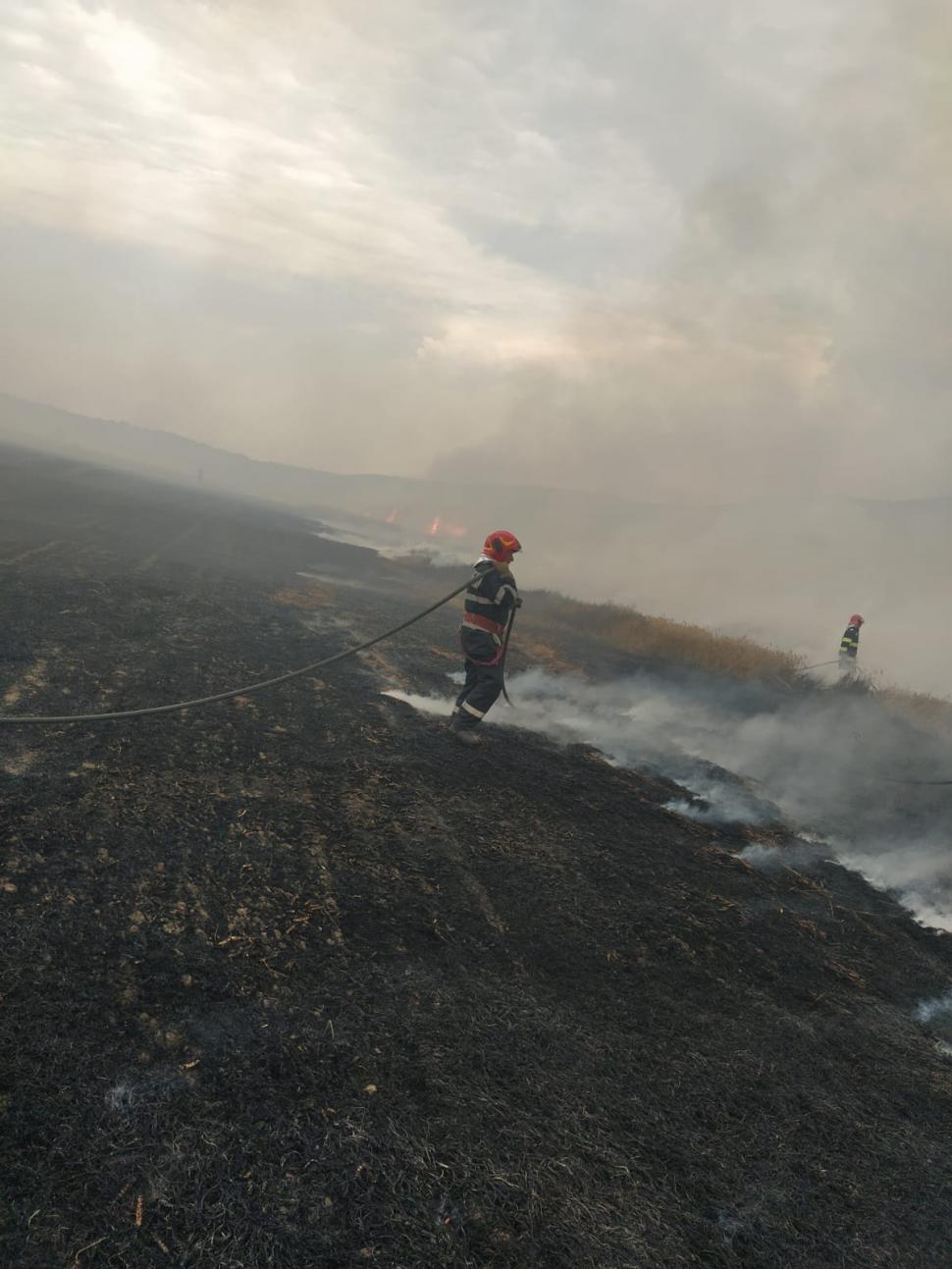 Incendiu devastator la Bunești. Peste 35 de hectare de grâu și miriște au fost mistuite de foc 719835