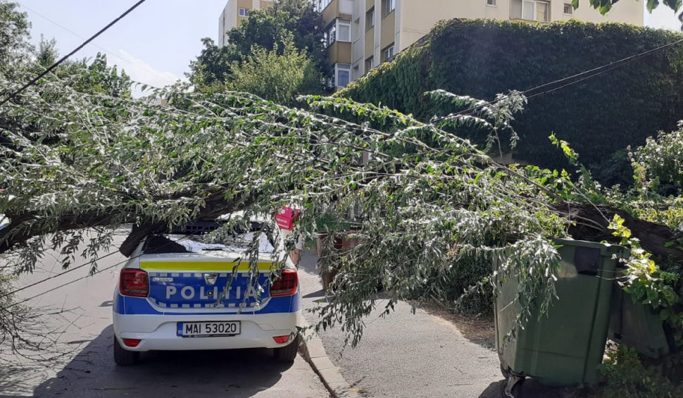 Maşină de poliţie strivită de un copac pe o stradă din Ploieşti