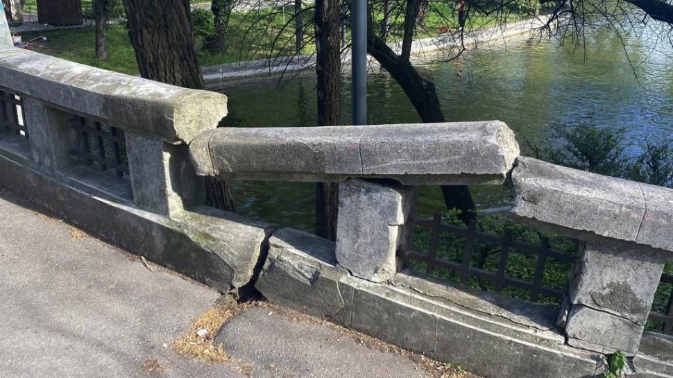 Cât de rău arată Cişmigiu şi Herăstrău, parcurile pentru care se ceartă Clotilde Armand şi Nicuşor Dan 720059