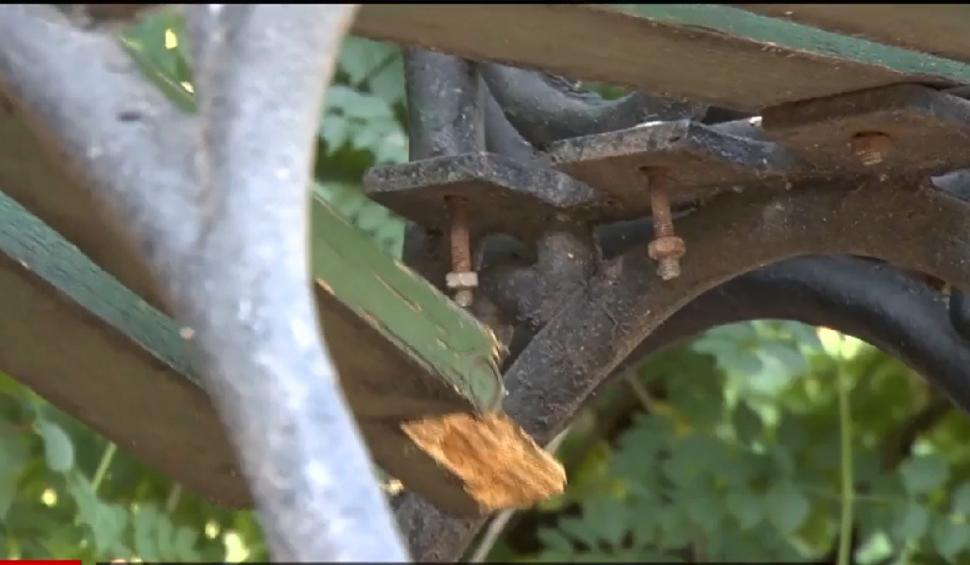 Cât de rău arată Cişmigiu şi Herăstrău, parcurile pentru care se ceartă Clotilde Armand şi Nicuşor Dan 720060