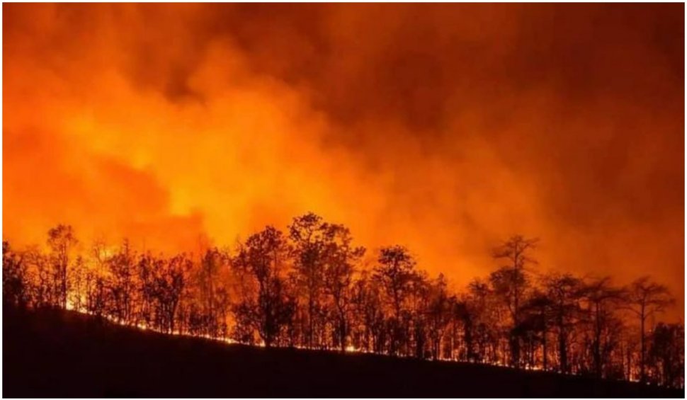 Incendiile din sudul Italiei fac victime printre turiști