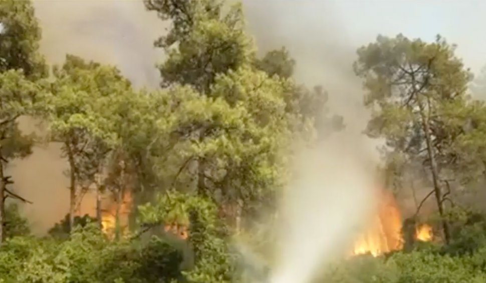 Incendii devastatoare în 6 provincii din Turcia: 8 persoane au murit și sute de case au fost distruse