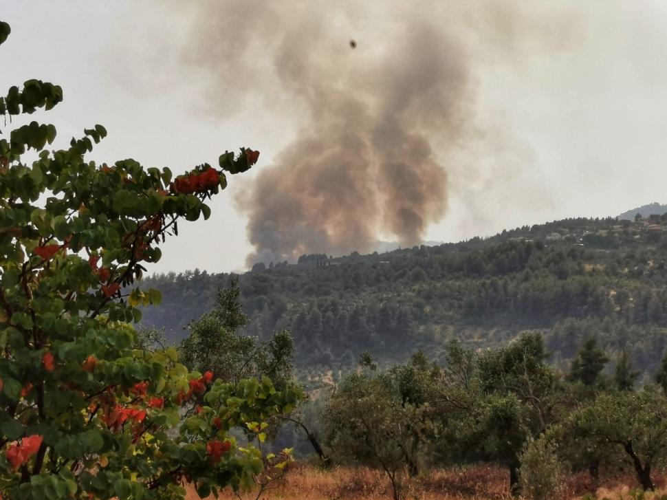 Grecia este pârjolită de cele mai grave incendii de vegetație din istorie. Autorităţile au activat o alertă de gradul 5 de risc 720459