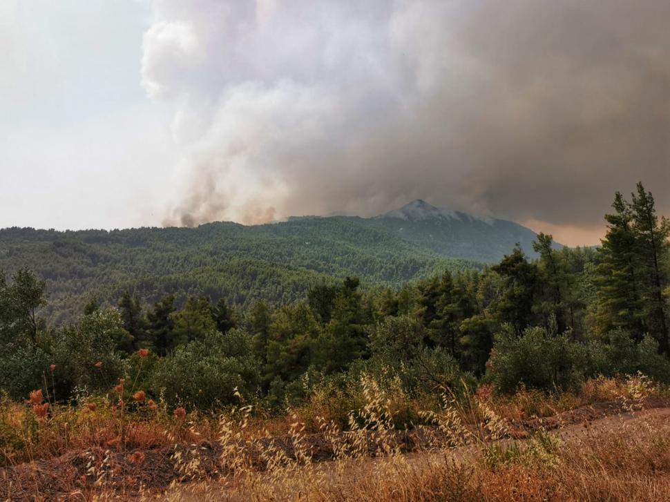 Grecia este pârjolită de cele mai grave incendii de vegetație din istorie. Autorităţile au activat o alertă de gradul 5 de risc 720460