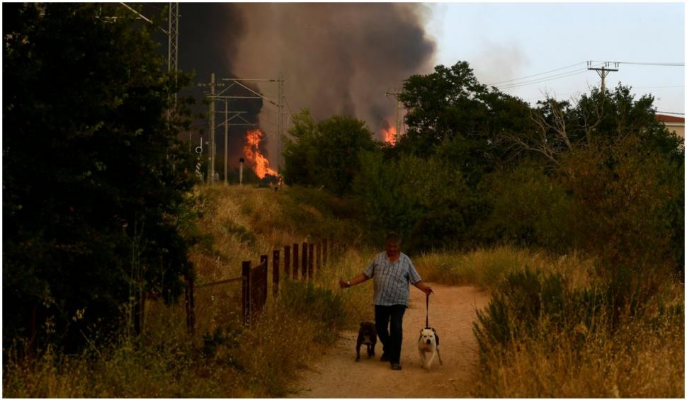 Noapte de infern în suburbiile Atenei: flăcările au mistuit zeci de case, localnicii au fost evacuați 720371