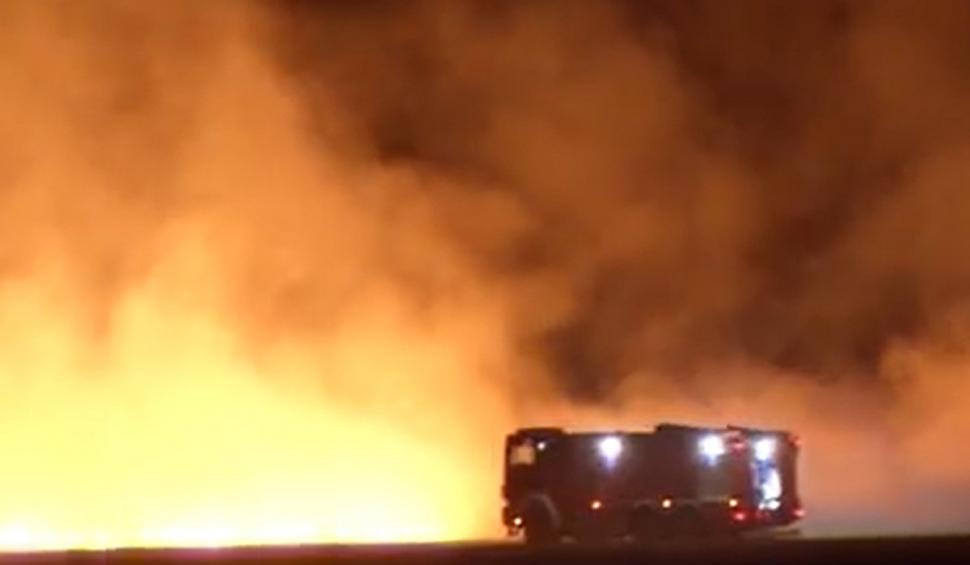 Incendiu de vegetaţie în Corbeanca, Ilfov. Nadina Câmpean: "Focul este uriaş. Este infiorător!" 720589