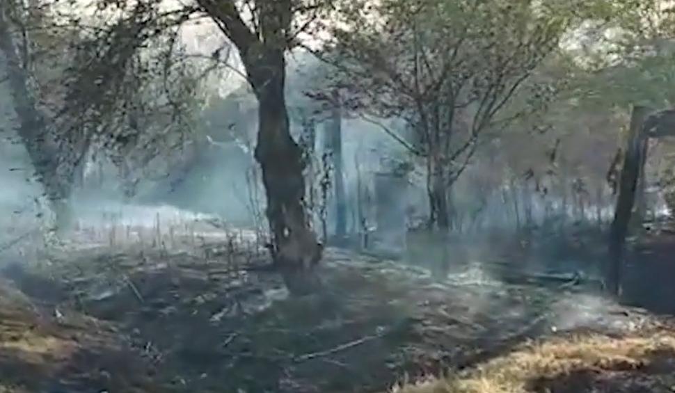 Încă un incendiu a izbucnit lângă satul unde zeci de gospodării au fost făcute scrum. Primar: Mi s-a spus că nu au autospeciale disponibile 721264