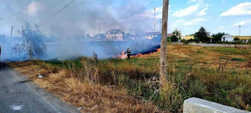 Aproximativ 3 hectare de vegetație uscată au ars în județul Giurgiu. Fumul dens a îngreunat circulaţia pe DN 61 721986