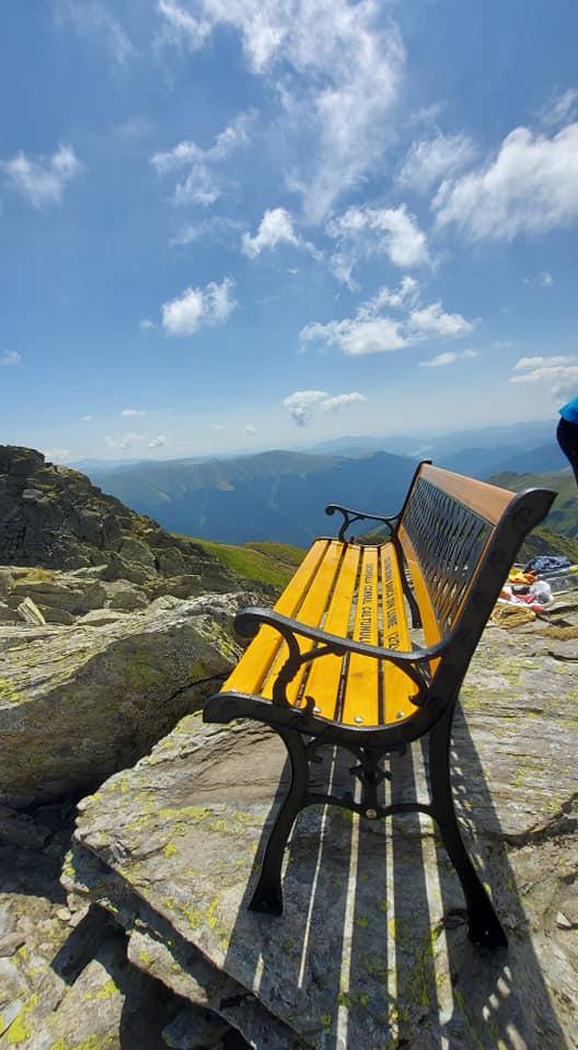 Apariţie inedită la 2.505 metri pe Vârful Călțun, din Munții Făgăraș. Reacţia Salvamont: "Nu poate face fiecare ce-l taie capul" 722249