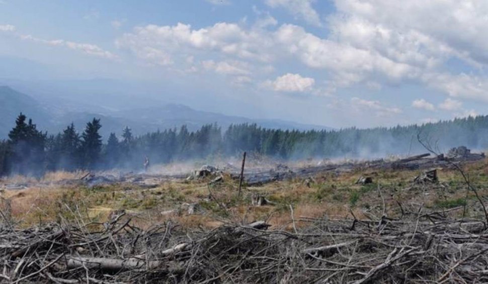 Incendiu de vegetație izbucnit în Munții Șureanu. Peste patru hectare de teren afectate de flăcări