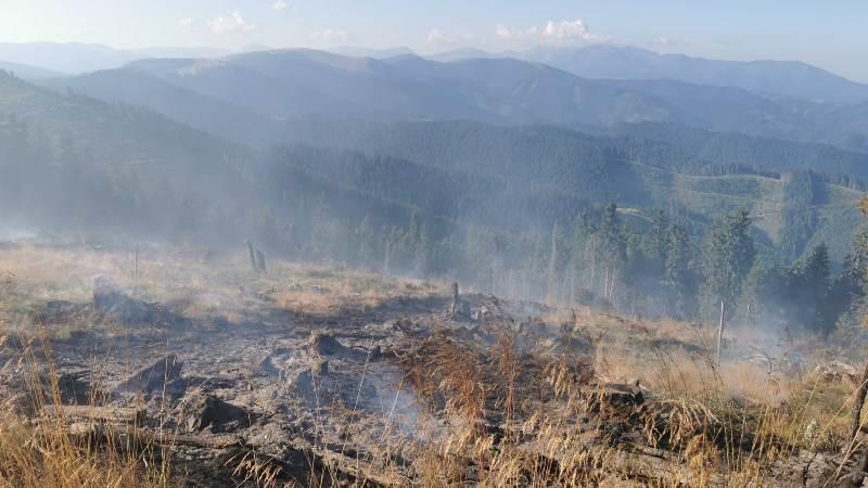 Incendiu de vegetație izbucnit în Munții Șureanu. Peste patru hectare de teren afectate de flăcări 722239