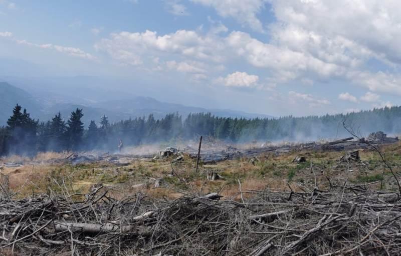 Incendiu de vegetație izbucnit în Munții Șureanu. Peste patru hectare de teren afectate de flăcări 722241