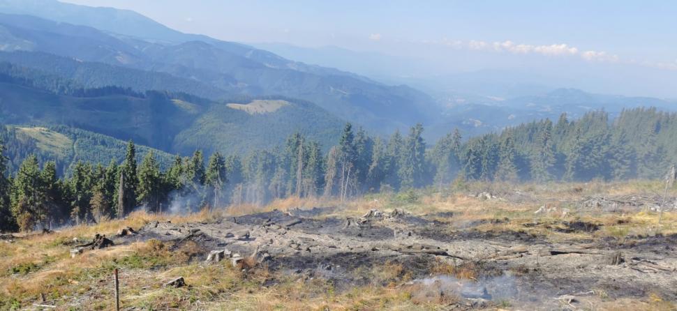 Incendiu de vegetație izbucnit în Munții Șureanu. Peste patru hectare de teren afectate de flăcări 722242