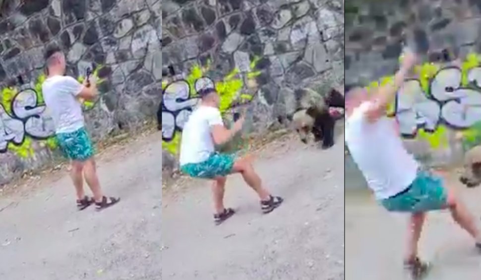 Turist, surprins când este atacat de urs, la Barajul Vidraru, după ce se apropie cu telefonul la doi pași de animal: "Cumetre, ești prost rău!"