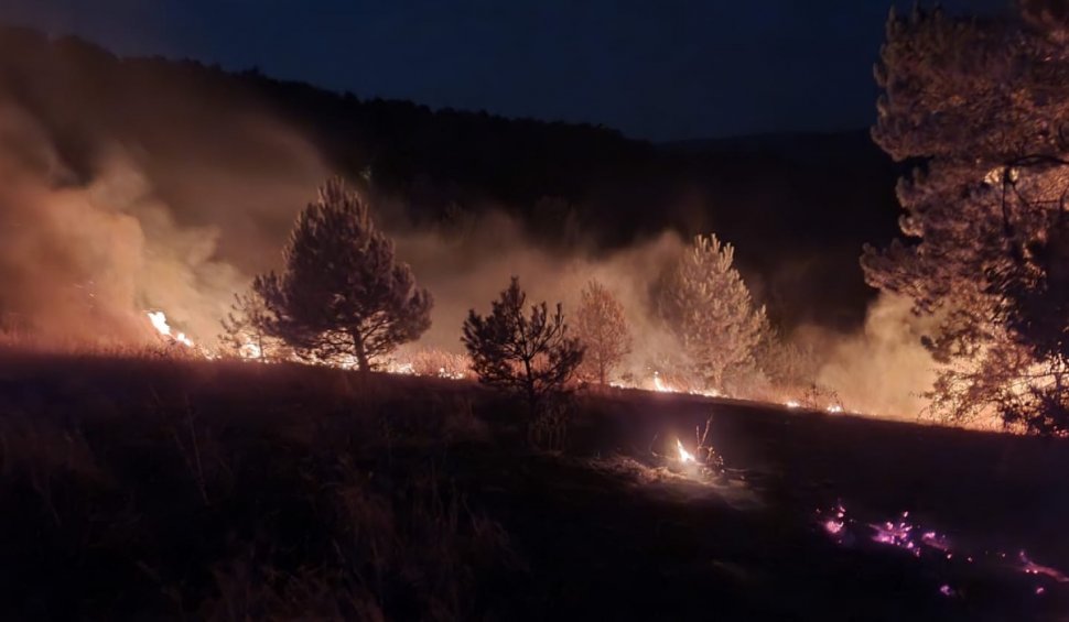 Incendiu de pădure, întins pe 2.000 mp, în comuna Inuri, județul Alba