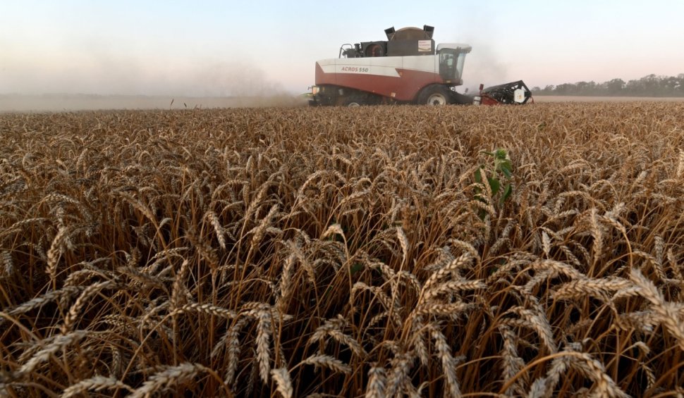 Fermierii din România, lideri la producția de cereale și oleaginoase în anul 2021, în UE. Au primit rating „excepțional”