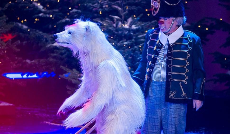 Anii de umilință au luat sfârșit pentru urșii unui circ din Vietnam. Au fost eliberați de sub violențe și trimiși la un sanctuar 723179