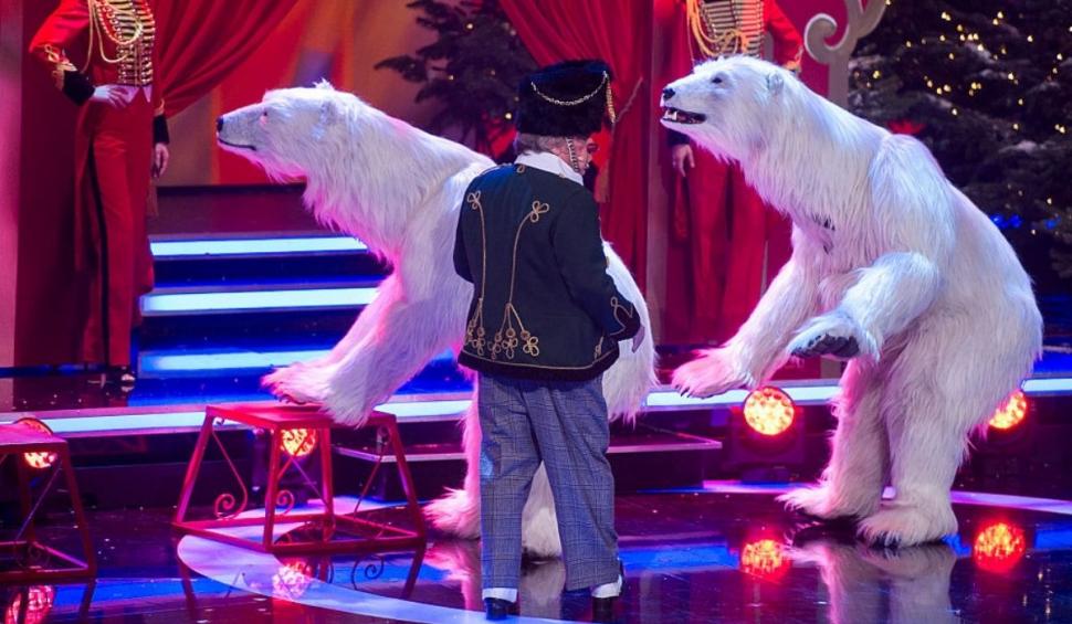 Anii de umilință au luat sfârșit pentru urșii unui circ din Vietnam. Au fost eliberați de sub violențe și trimiși la un sanctuar 723180