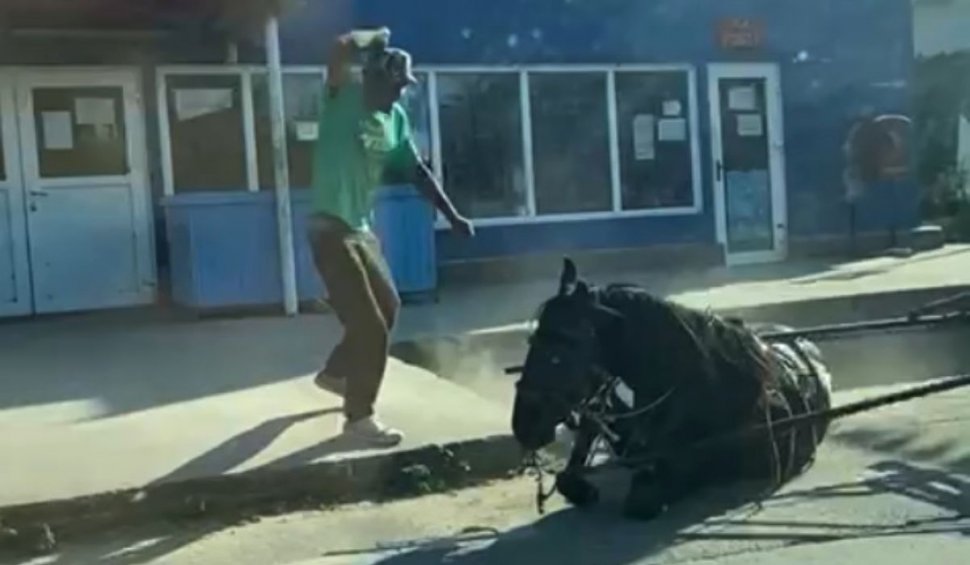 Un bărbat din Dolj şi-a bătut calul pentru că nu mai trăgea căruţa şi nimeni nu a sărit îl oprească