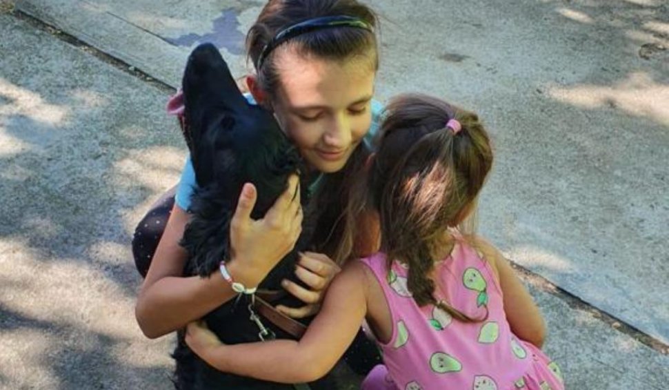 Un căţel dispărut de un an s-a întors acasă, la Arad, la cele două surori care l-au căutat neîncetat