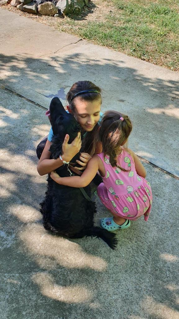 Un căţel dispărut de un an s-a întors acasă, la Arad, la cele două surori care l-au căutat neîncetat 723165