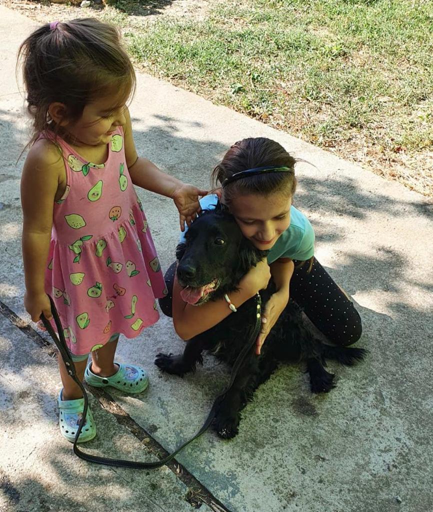 Un căţel dispărut de un an s-a întors acasă, la Arad, la cele două surori care l-au căutat neîncetat 723166