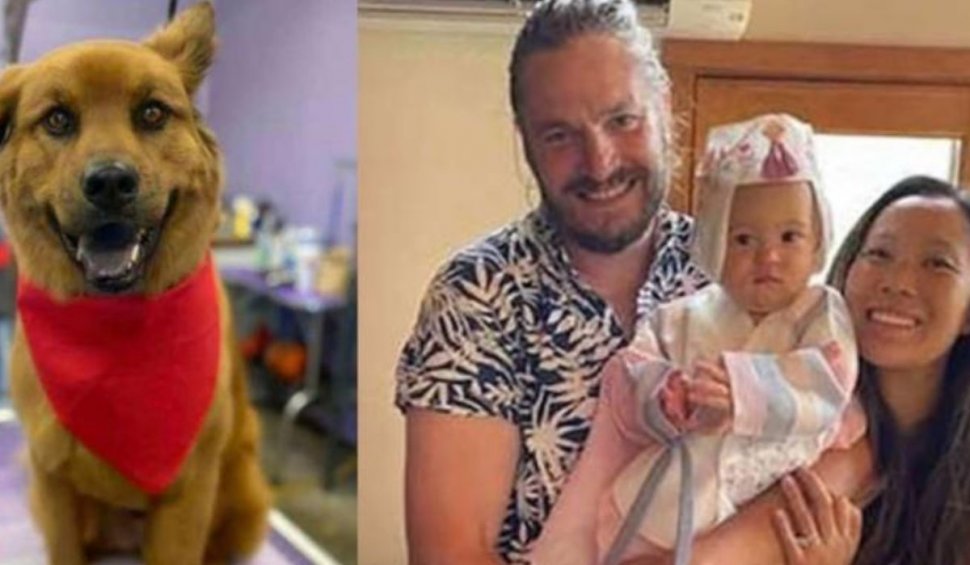 Doi tineri soţi, fiica lor de un an, dar şi câinele familiei, găsiţi morţi într-un parc din cauza unor alge