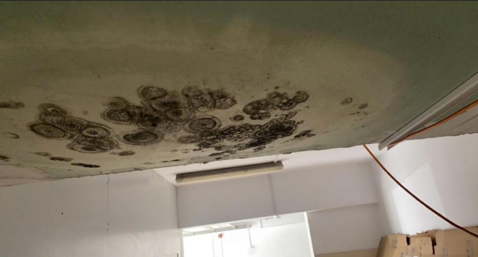 Alimente expirate de șapte ani la un hotel din Delta Dunării  723355