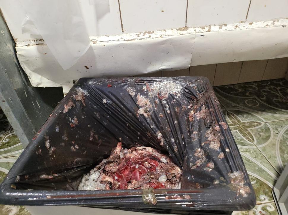 Alimente expirate de șapte ani la un hotel din Delta Dunării  723363