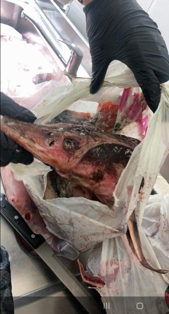 Alimente expirate de șapte ani la un hotel din Delta Dunării  723367