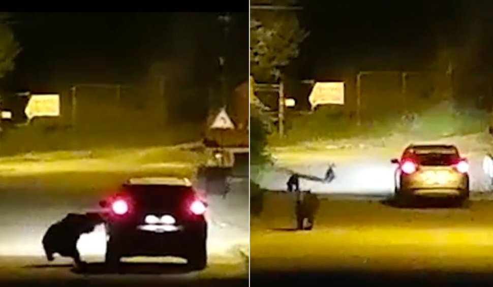 Mașină aflată în mișcare, atacată de o ursoaică și trei pui, în Bușteni