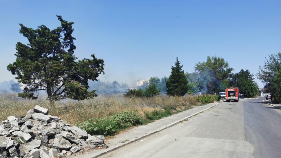 Incendiu de vegetaţie în Popeşti-Leordeni, aproape de Centura Capitalei 723535