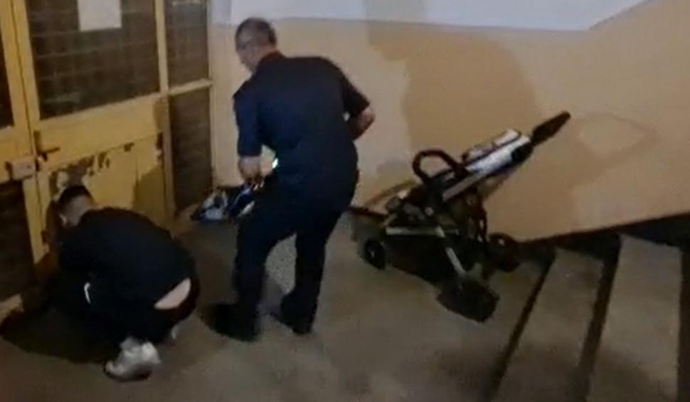 Operațiune de salvare neobișnuită în Pitești. O pisică rămasă blocată sub uşa unui bloc, salvată în aplauzele locatarilor 723836