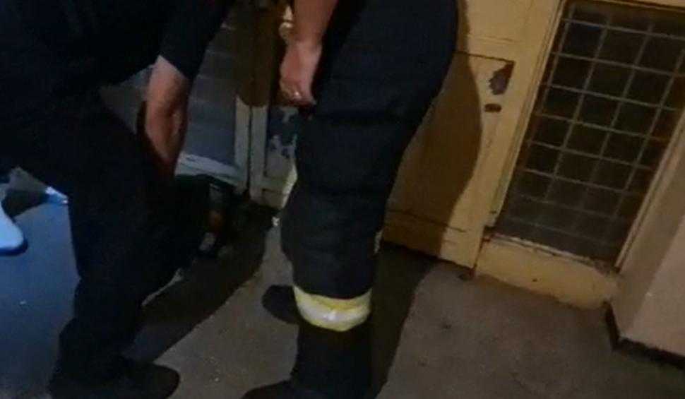 Operațiune de salvare neobișnuită în Pitești. O pisică rămasă blocată sub uşa unui bloc, salvată în aplauzele locatarilor 723837