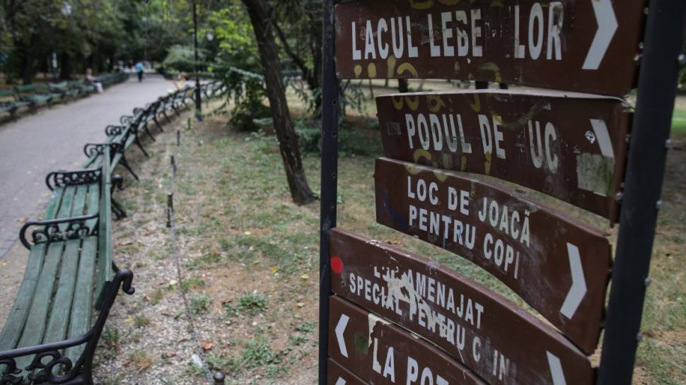 Cişmigiu, un parc fantomă, lăsat uitării de Nicuşor Dan 723899